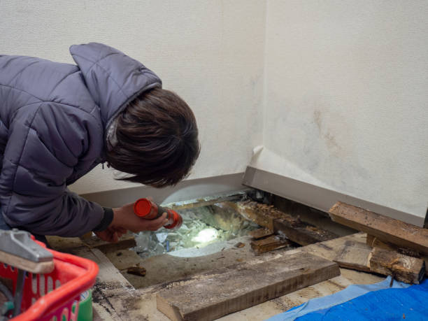 Best Real Estate Mold Inspection  in Abingdon, MD
