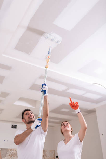 Best Basement Mold Removal  in Abingdon, MD