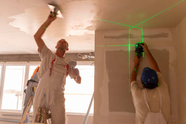 Mold Documentation for Insurance Claims in Abingdon, MD