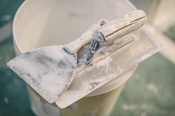 Best Mold-Related Health Consultation  in Abingdon, MD
